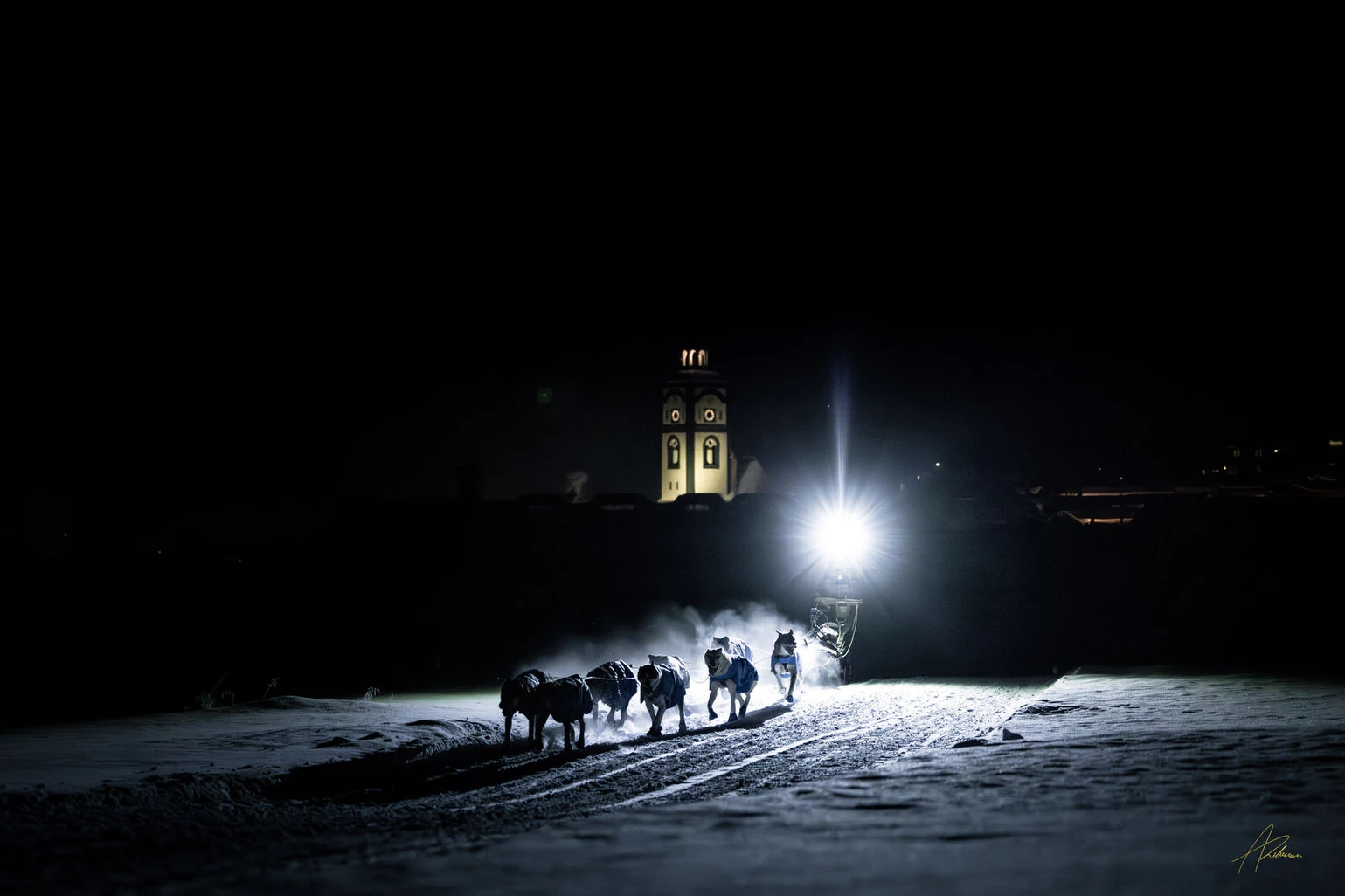 Hundespann om natten ved Røros, fotografi fra Femundløpet.