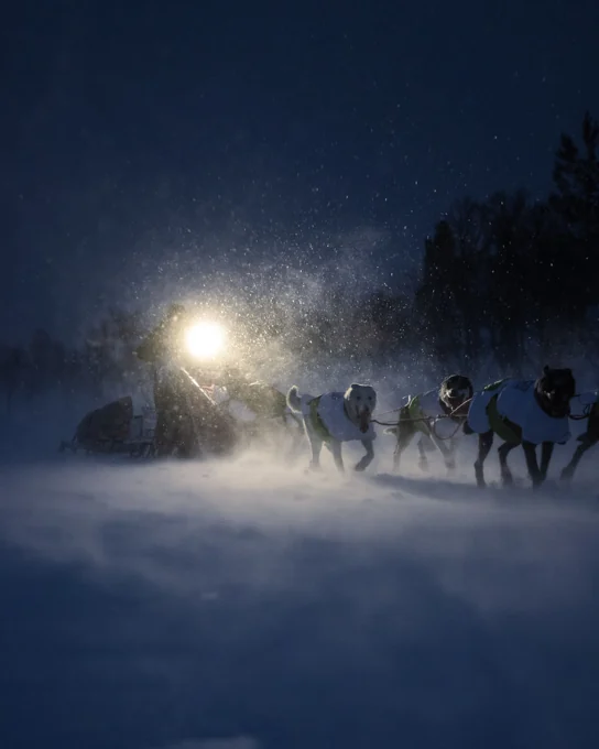 Femundløpet · Fotografi 12 i prosjektgalleriet.