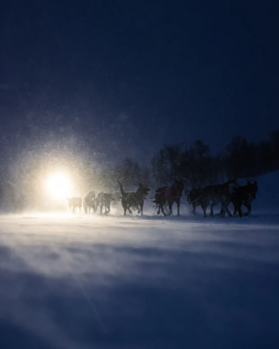 Femundløpet · Fotografi 16 i prosjektgalleriet.